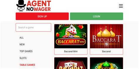 Agent NoWager Casino  Игроку было предложено выполнить требования по отыгрышу.